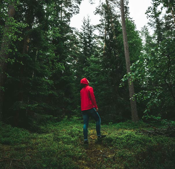 Therapy for Individual Adults